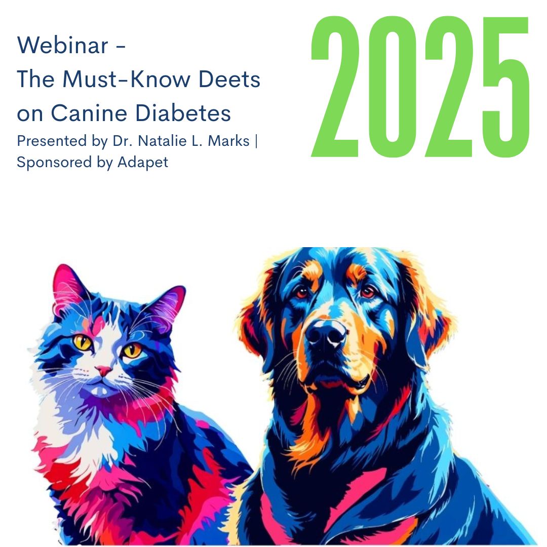 Understanding Canine Diabetes: From Diagnosis to Innovation