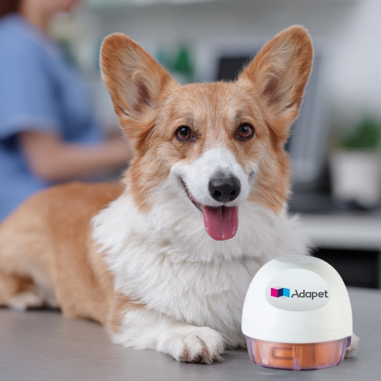 Veterinary Blood Glucose Meter
